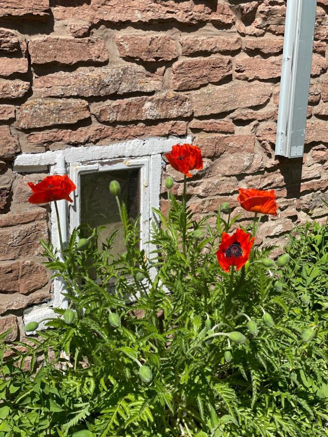 Rosenfors Herrgard Bed & Breakfast