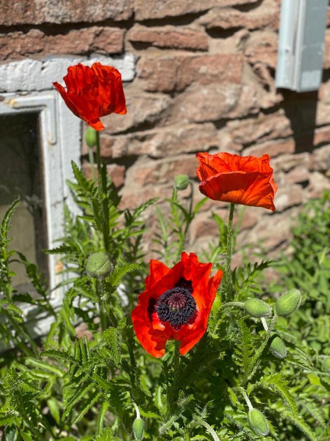 Rosenfors Herrgard